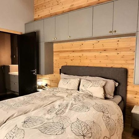 רובניימי Luxury Villa Rauhankatu מראה חיצוני תמונה